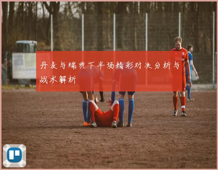 丹麦与瑞典下半场精彩对决分析与战术解析